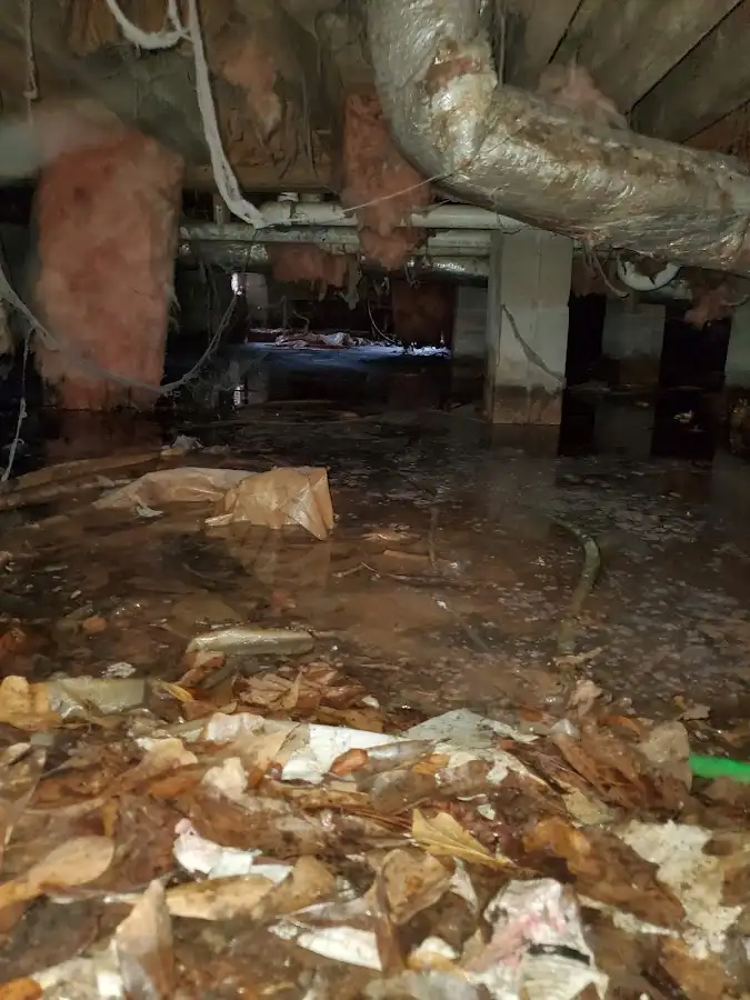 Crawl space flood assessment for Leak Detection & Repair in Ralston